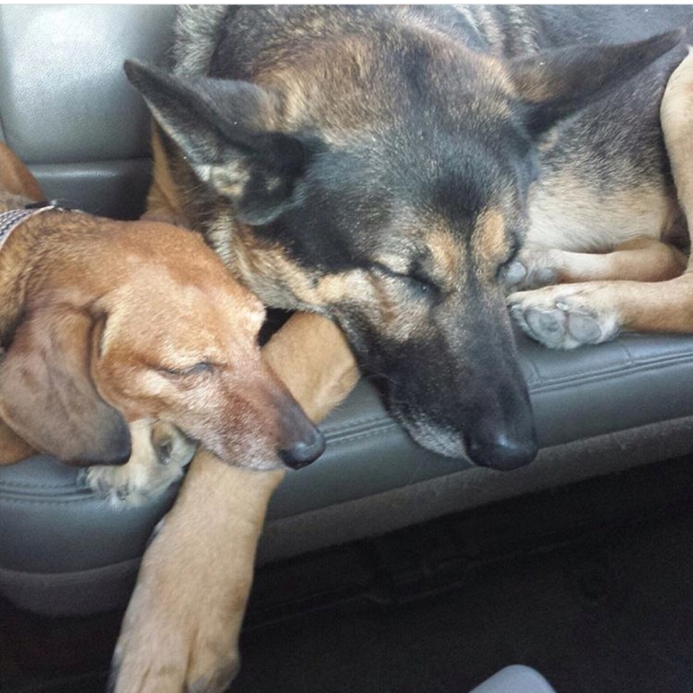 Meet your Posher, Makena